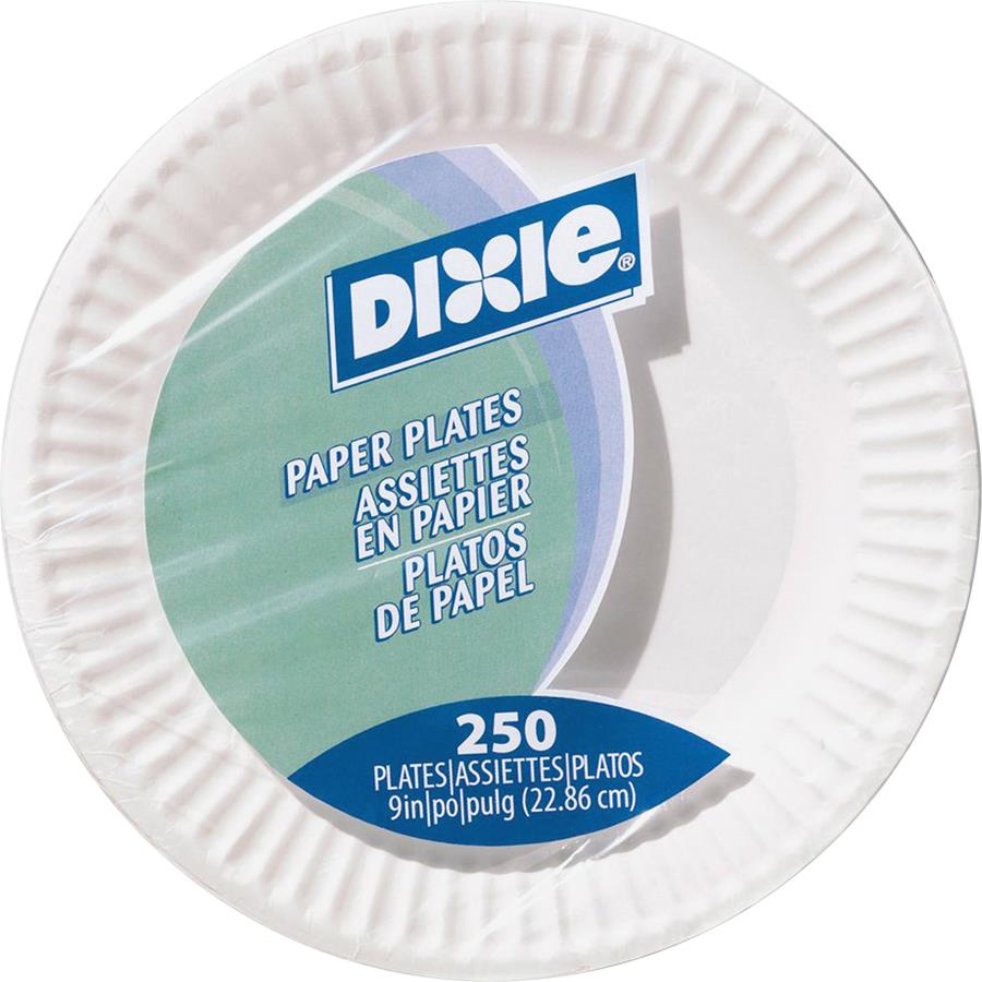 100 Count 9-Inch Paper Plates Uncoated Disposable Dinner Plates White