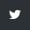 twitter-icon